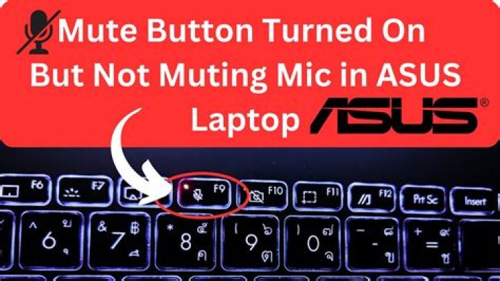 How long does the mute button work?