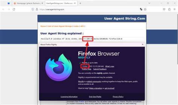 What happens when I switch from Internet Explorer to Firefox?