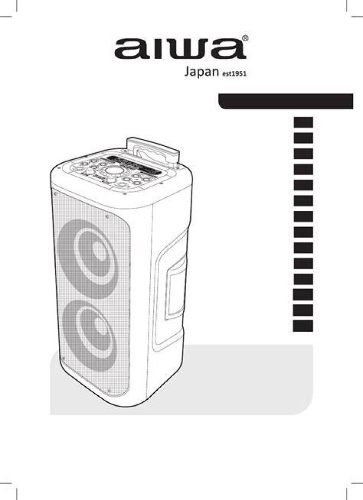 What is Aiwa in English?